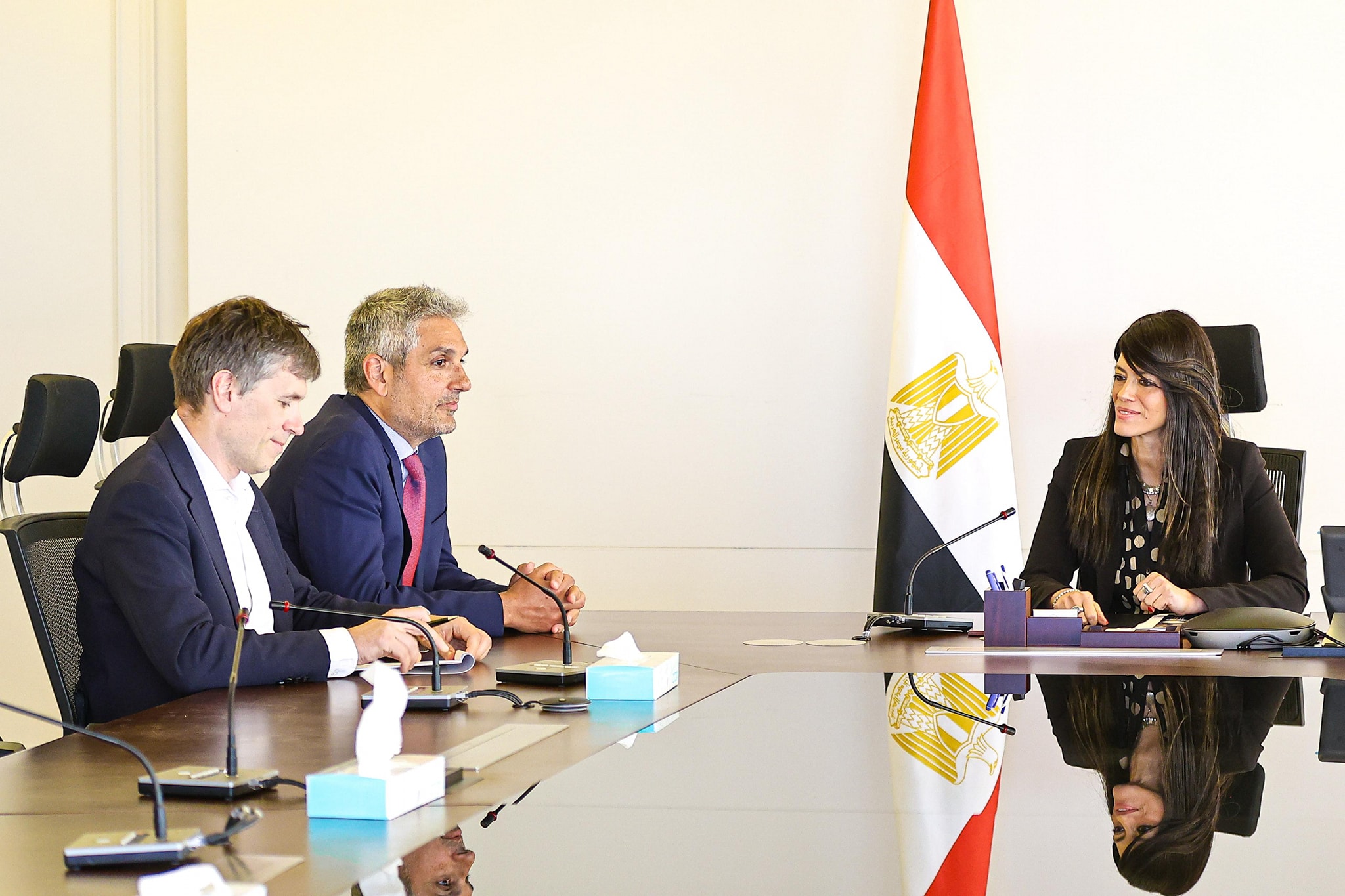 Al-Mashat to Goldman Sachs: New law to maximize State asset returns