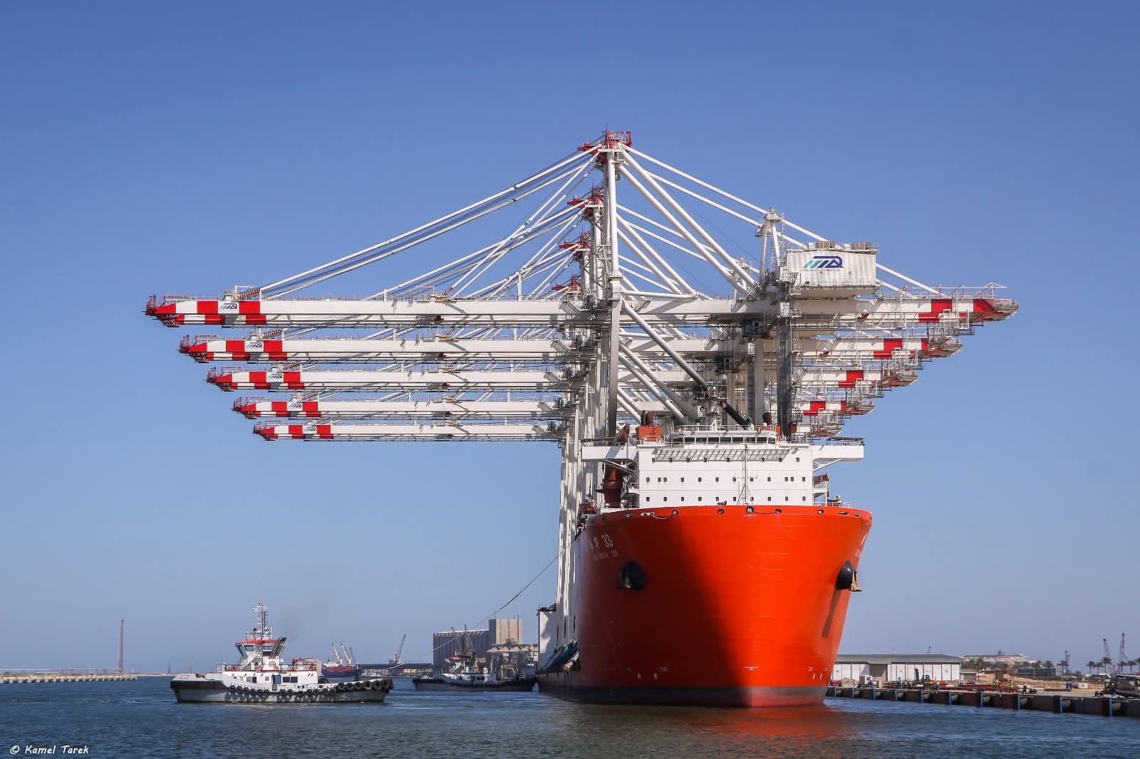 Five giant quay cranes arrive at Damietta Port's Tahya Misr Terminal