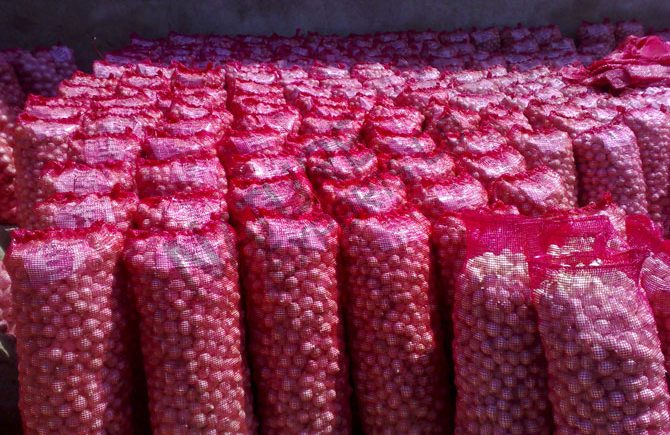 Agricultural exports: Onions, grapes dominate, Indonesia top buyer