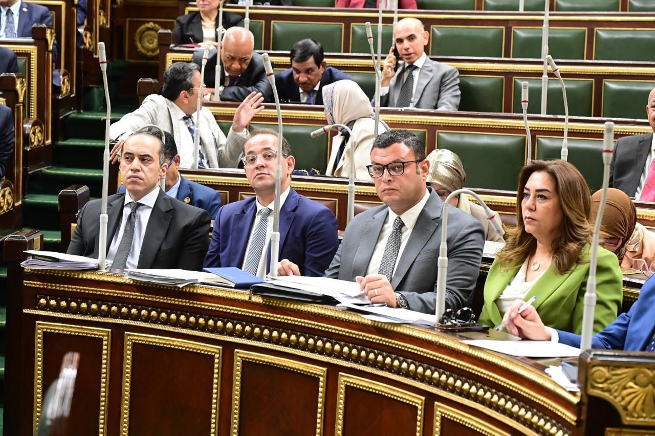 Parliament reviews draft law on disposal of state-owned private assets