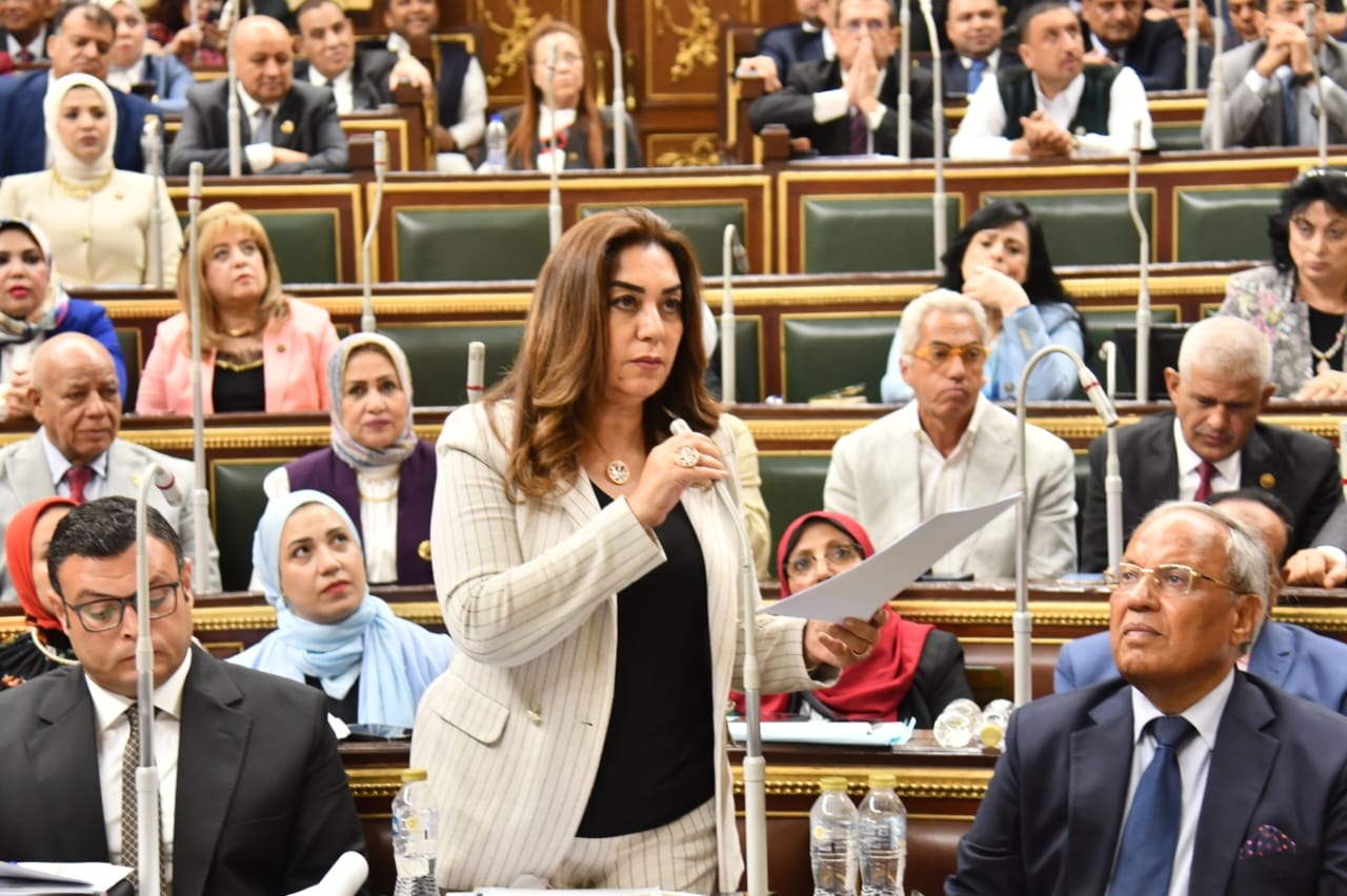 منال عوض : سلمنا مجلس النواب بيانًا تفصيليًا بقطع الأراضي الصالحة لمشروعات الإسكان في المحافظات