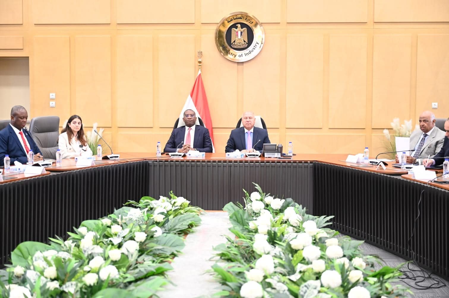 Congo seeks greater partnership with Egypt in various sectors