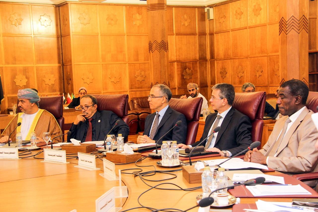 Amawi calls for joint Arab strategy on customs, administrative cooperation