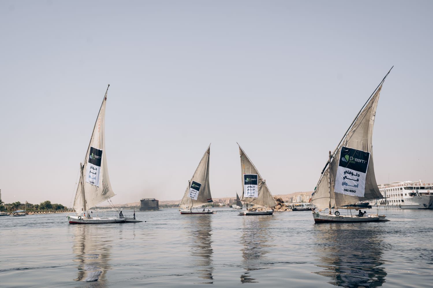 دريم 2000 تحتفل بربع قرن من العمل كأحد أكبر كيانات تجارة الإلكترونيات في مصر