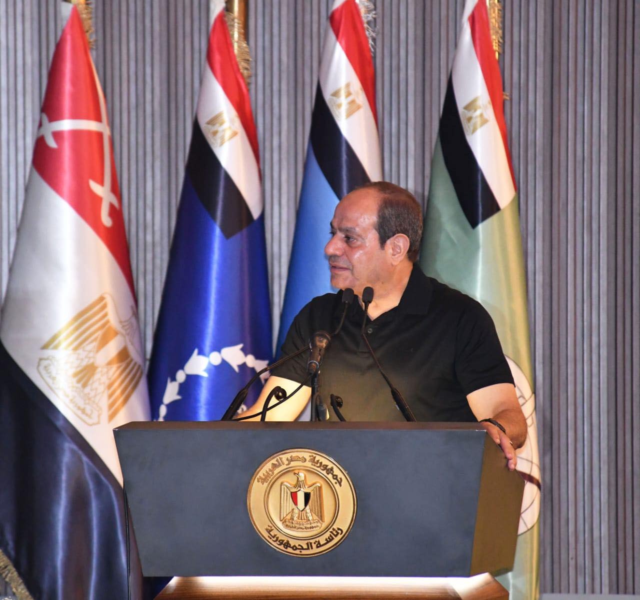 السيسي : مصر مستقرة .. ومسار الإصلاح الاقتصادي مستمر