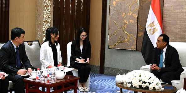 Madbouly discusses water desalination with Chinese Jiangsu Fenghai