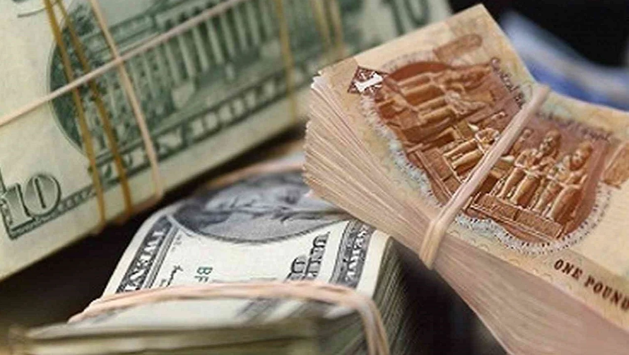 Egyptian pound holds steady against US dollar