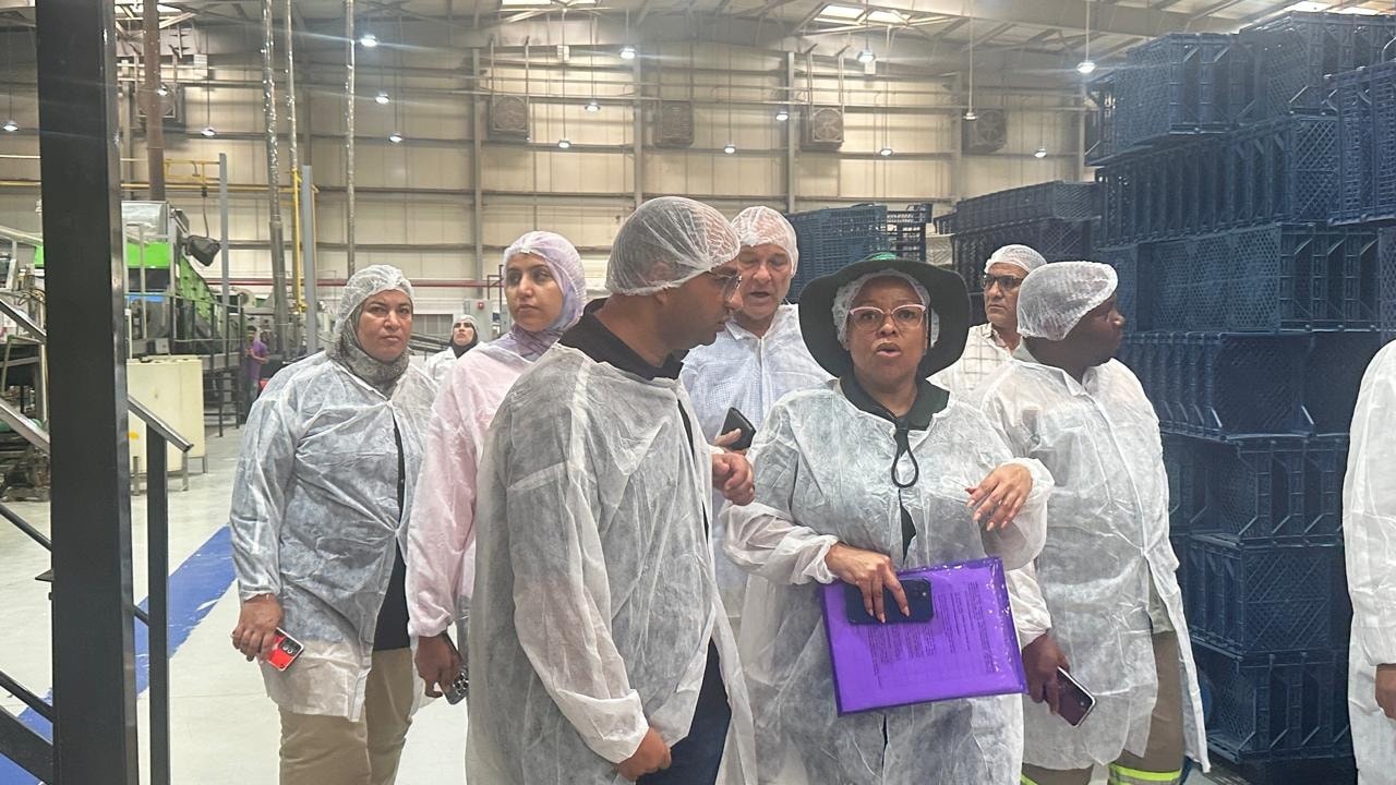 Egypt prepares pomegranate exports for South African market