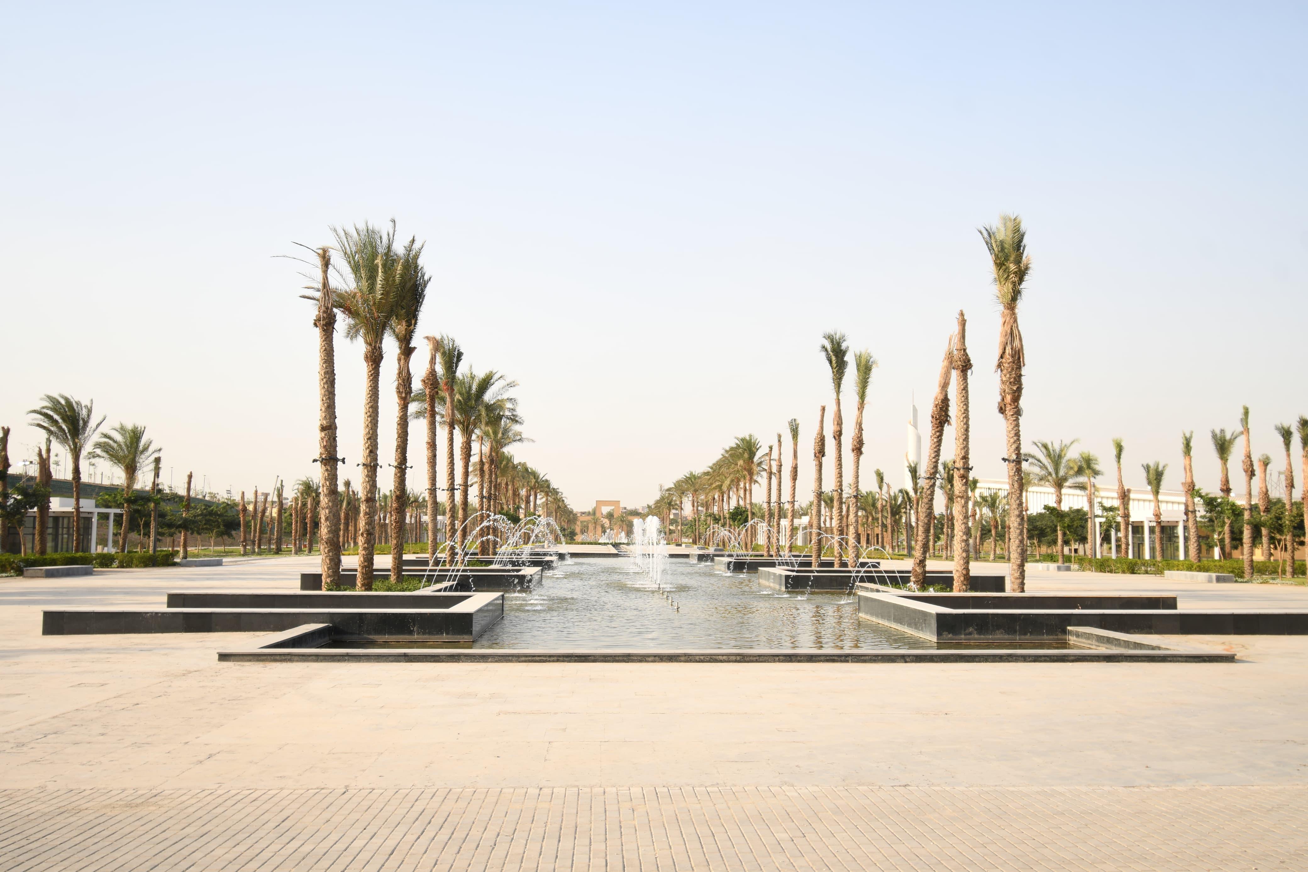 "البيئة" تطلق خطة لتطوير شبكة رصد جودة الهواء بدعم من البنك الدولي