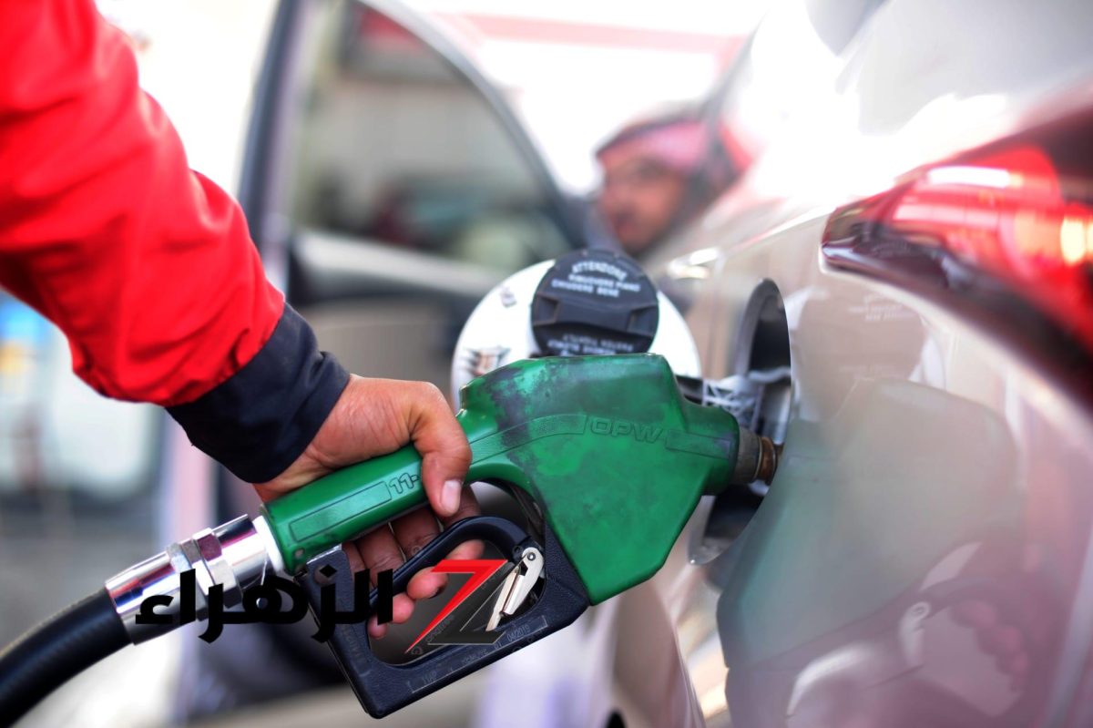 تحريك أسعار المنتجات البترولية مع تثبيت الأسعار لعام كامل كحد أدنى