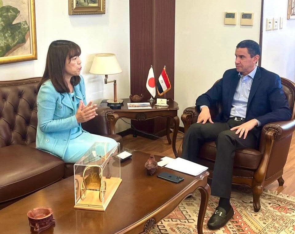 Egypt targets Japanese Terra Therma for major local investment