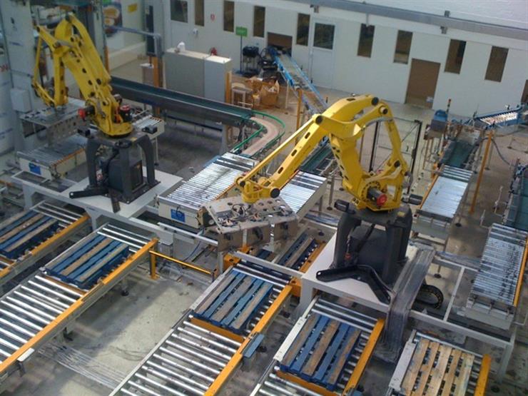 Egypt, India boost economic, investment cooperation