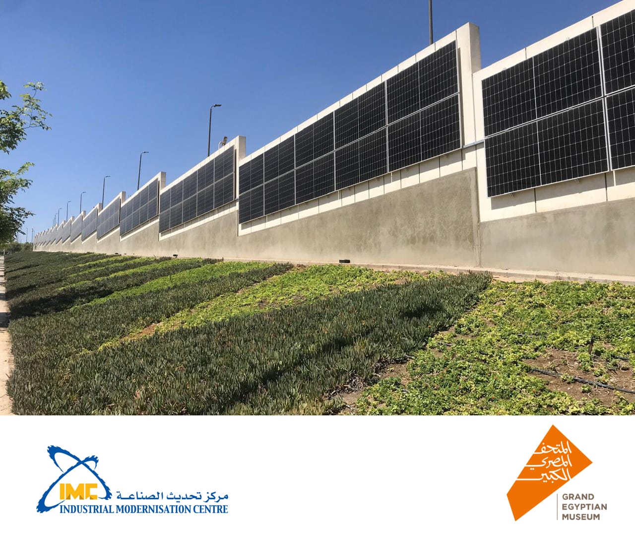 المتحف المصري الكبير يصبح أول متحف أخضر في إفريقيا والشرق الأوسط بمحطات طاقة شمسية بقدرة 1.3 ميجاوات