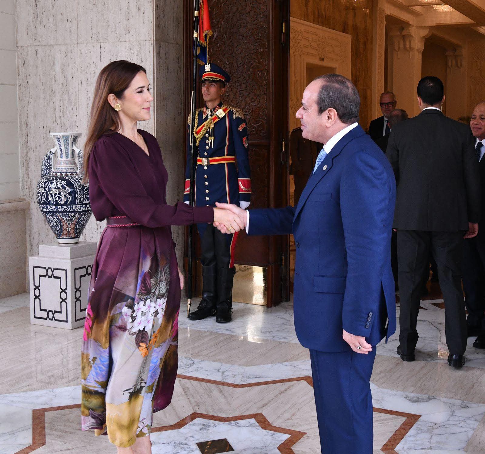 السيسي يبحث جذب مزيد من الاستثمارات من الدنمارك وألمانيا والمجر