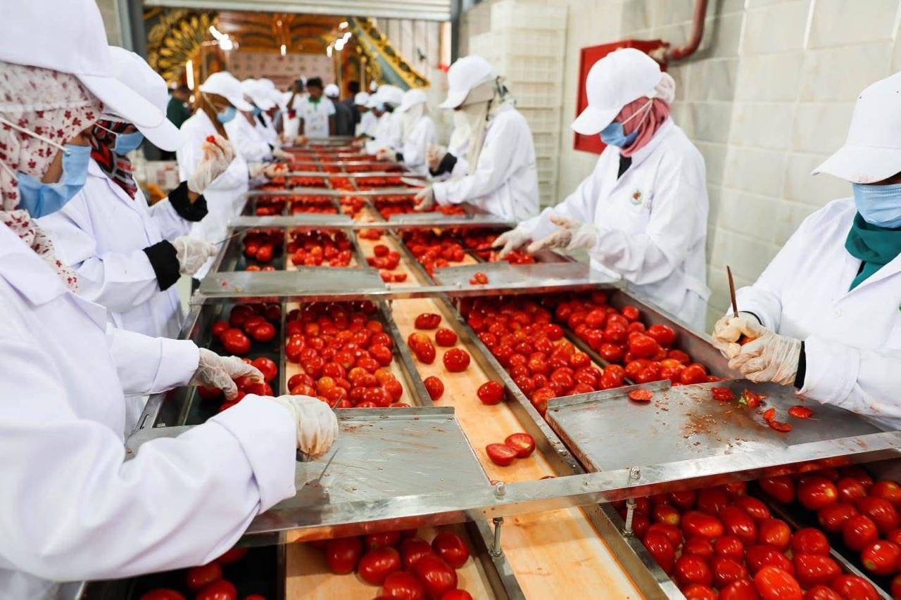 افتتاح مجمع الصناعات الغذائية بإسنا لتعزيز التصنيع الزراعي والاستثمار في صعيد مصر