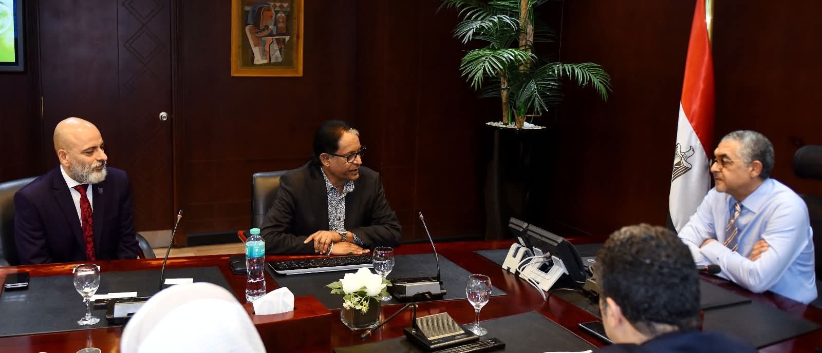 Egypt attracts $210M green ammonia investment