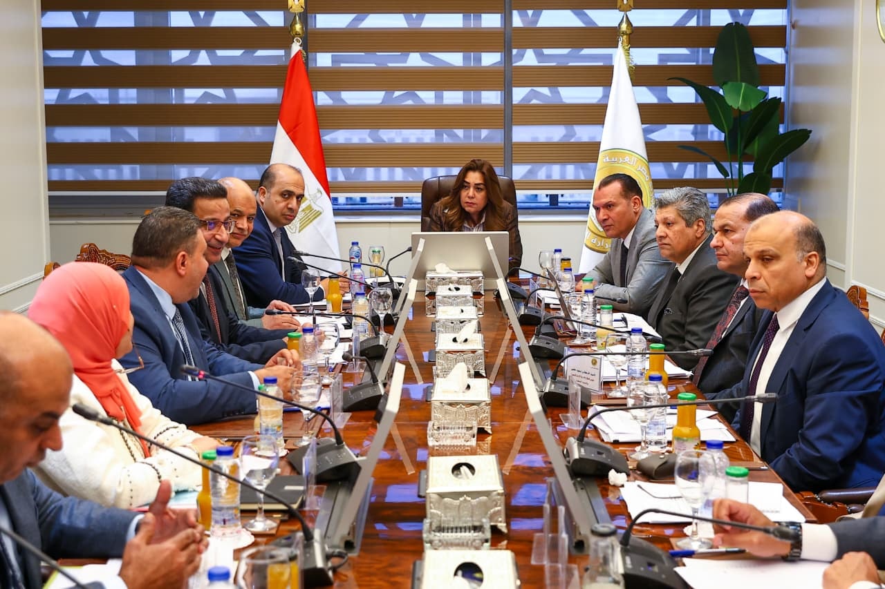 Awad reviews governorates’ local revenue, development plans