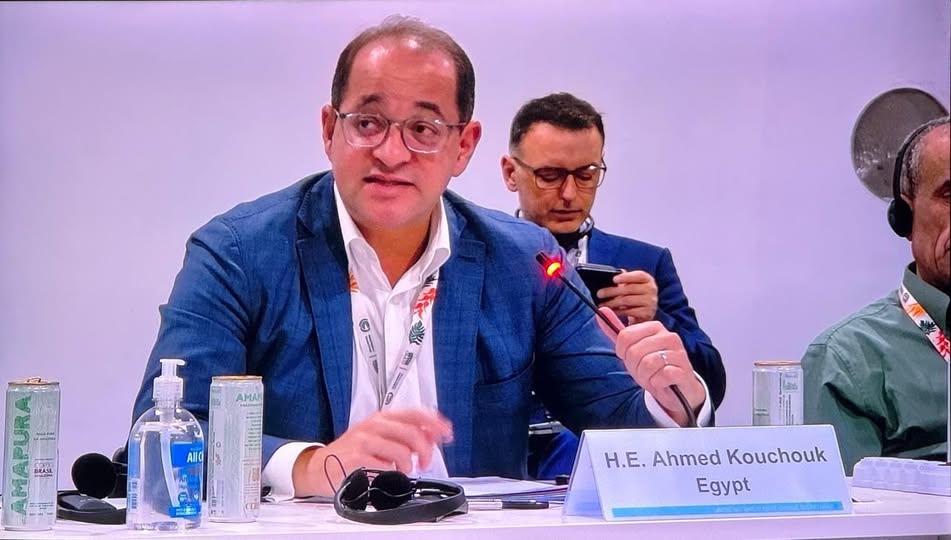 كجوك في مؤتمر المناخ : نتطلع لدور أكبر للمؤسسات الدولية في التمويل الأخضر الميسر