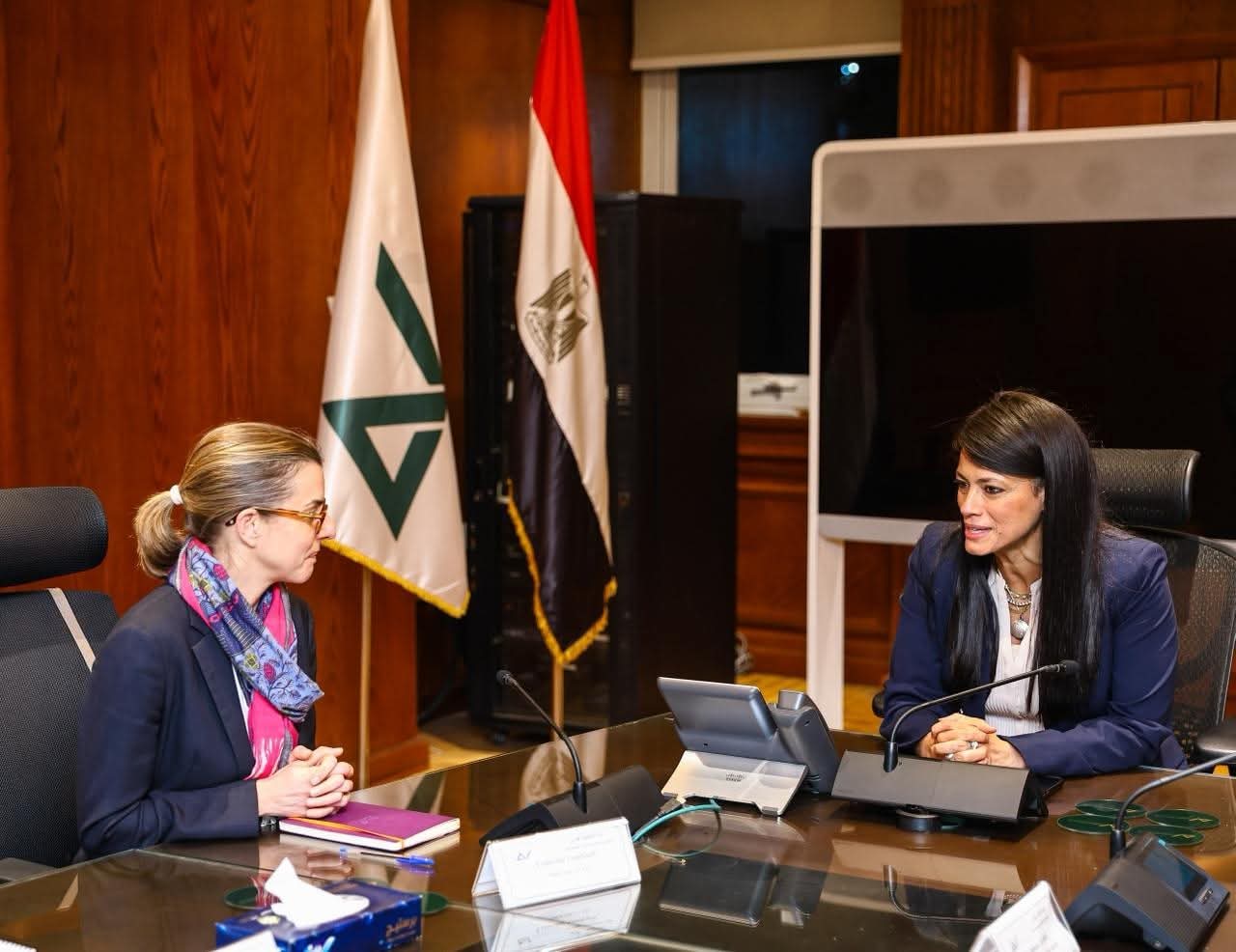 Al-Mashat and Proparco discuss private sector partnership