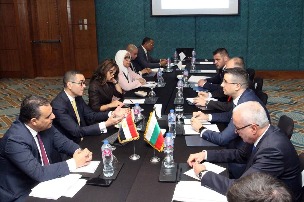 Electric vehicles top agenda for Egypt-Bulgaria investment talks
