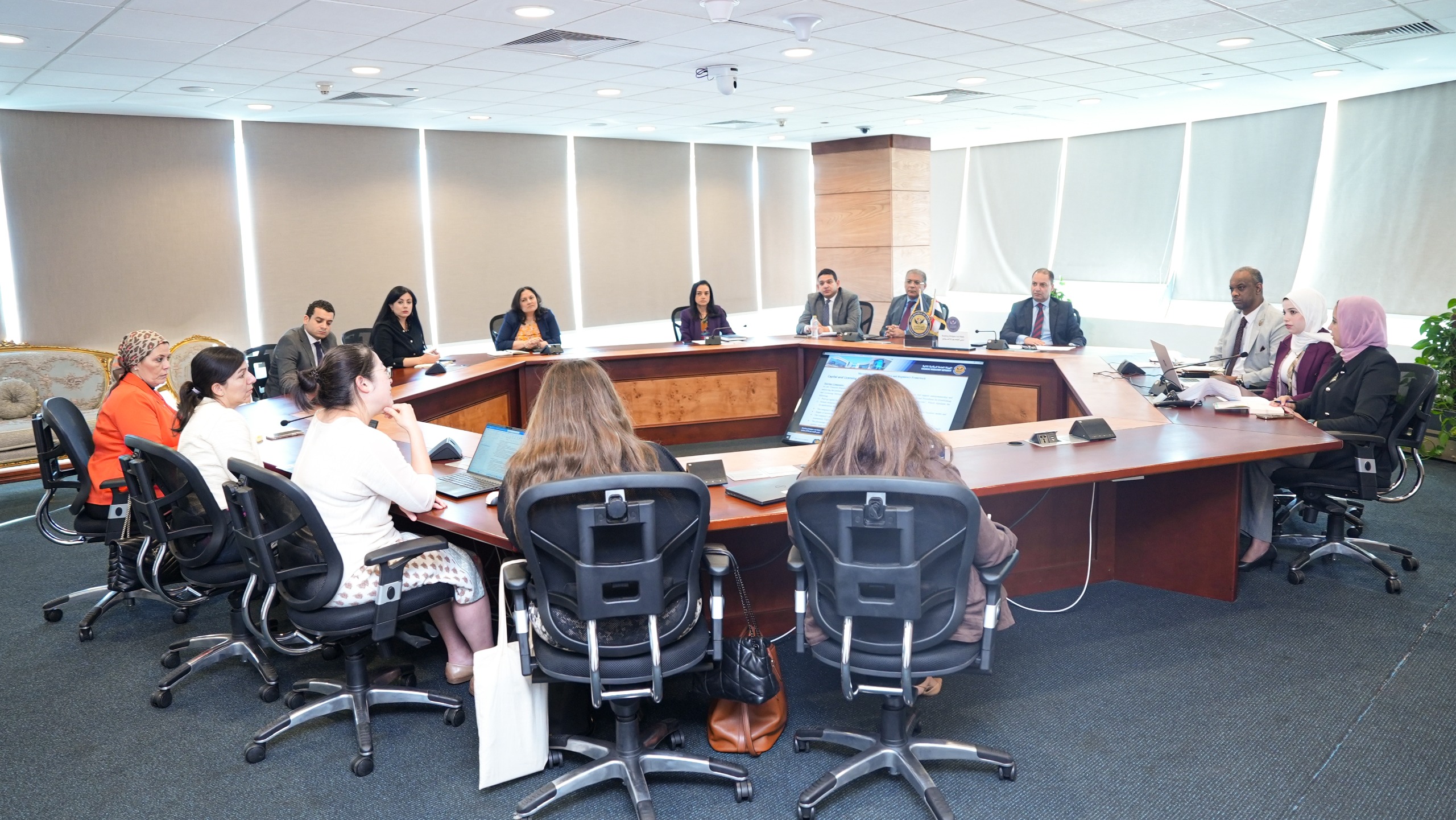 الرقابة المالية والبنك الدولي يناقشان تنظيمات وتشريعات تمويل المشروعات الصغيرة والمتوسطة ومتناهية الصغر