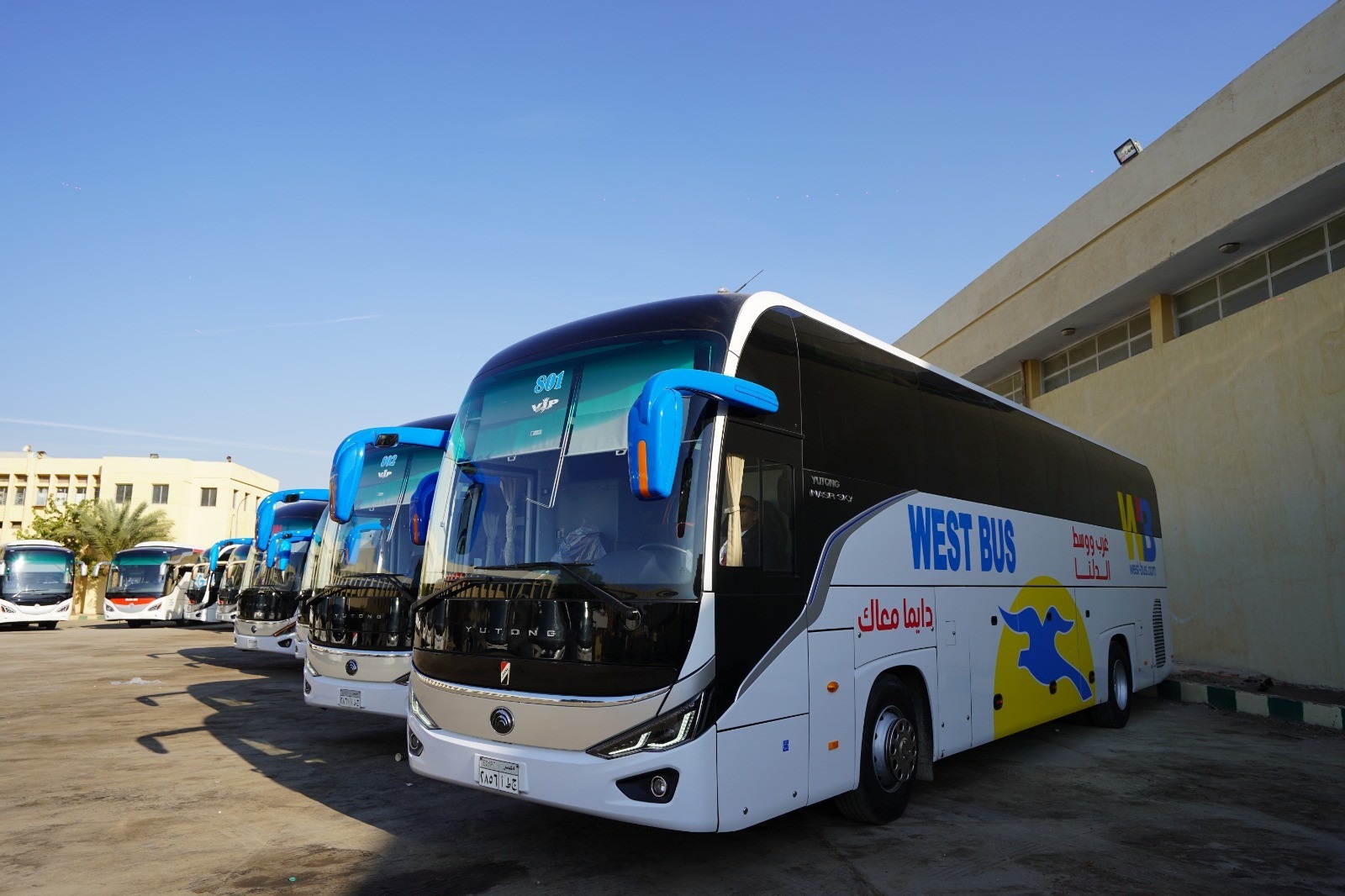 Egypt boosts public transport with 529 new locally made buses