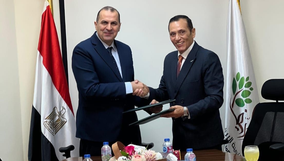 Egypt launches major power grid project for reclamation plan