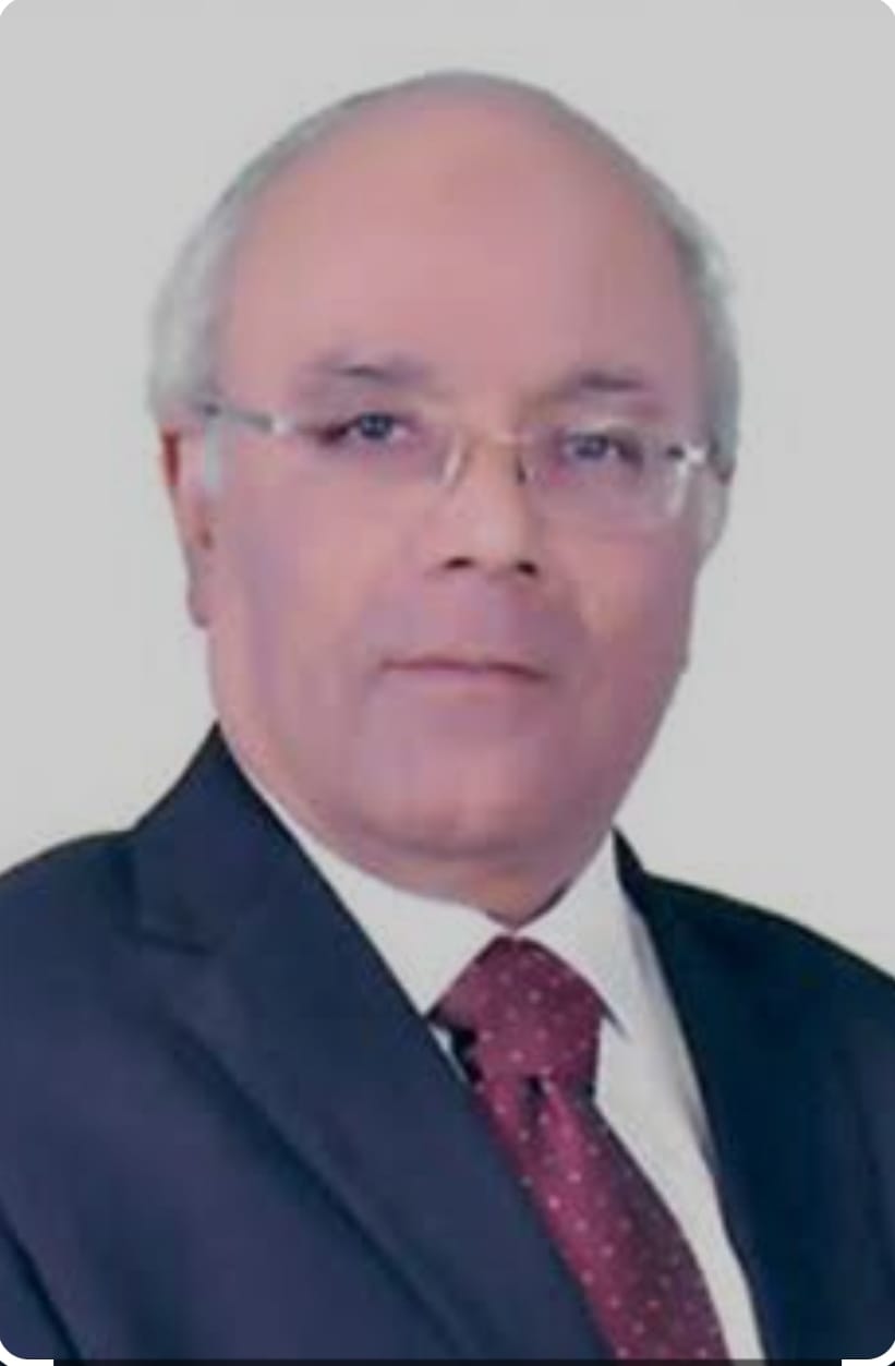 الفيومي : نافذة استثمارية رقمية وحوافز موجهة لدعم الصناعة والتصدير