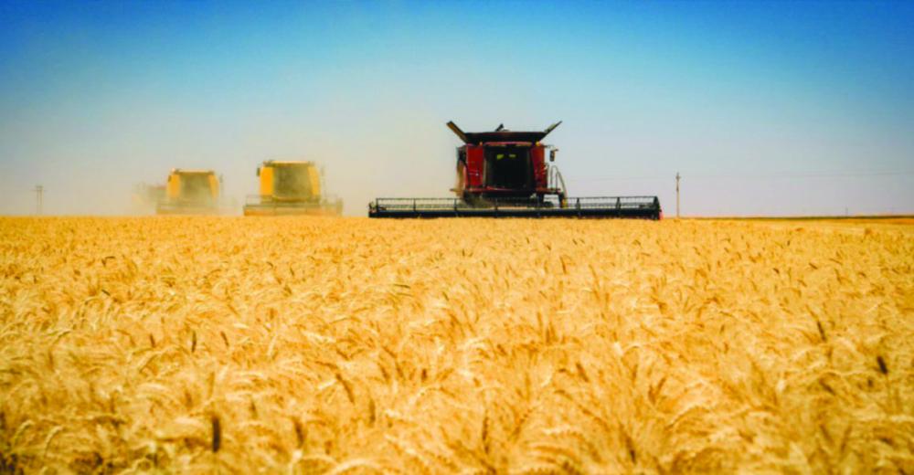 بعد تطوير منظومة الزراعة والتخزين.. هل تستطيع مصر تحقيق الاكتفاء الذاتي من القمح؟