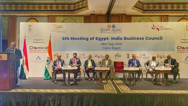 مجلس الأعمال المصري الهندي