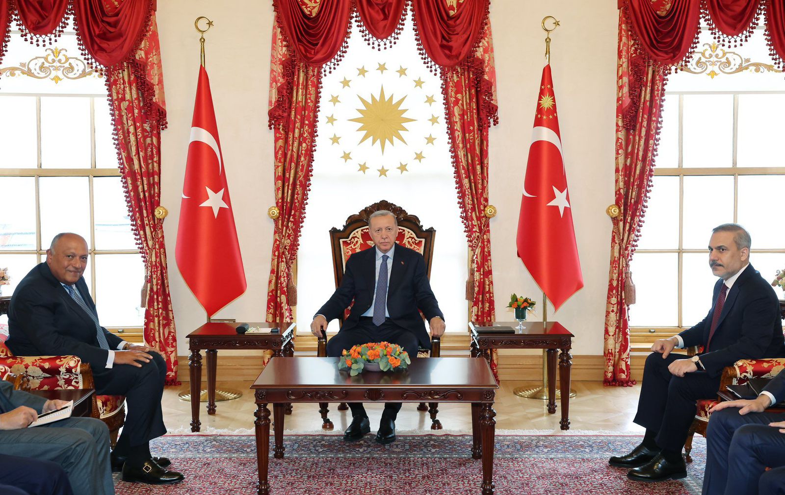 وزير الخارجية سامح شكري خلال لقائه في اسطنبول مع الرئيس التركي رجب طيب أردوغان